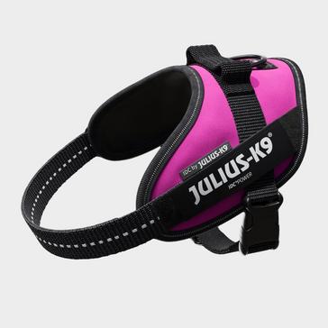 Pink Julius K9 IDC K9 Powerharness Pink Mini