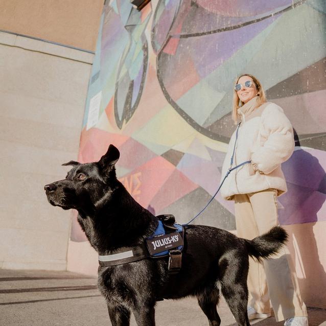 Julius K9 Original K9 Powerharness Size GO Outdoors