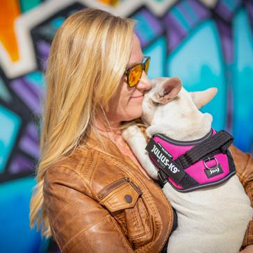 Pink Julius K9 Original K9 Powerharness Size 1