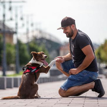 Red Julius K9 IDC Powerharness Red Size 2