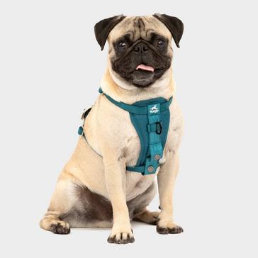 Blue Kurgo Enhanced Strength Tru-Fit Dog Car Harness Blue