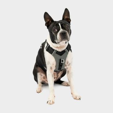 Black Kurgo Journey Air Dog Harness Black/Grey