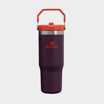 Purple Stanley IceFlow™ Flip Straw Tumbler 0.89L