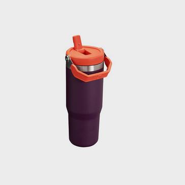 Purple Stanley IceFlow™ Flip Straw Tumbler 0.89L