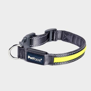 Yellow Petface Reflective Flashing Dog Collar Yellow L
