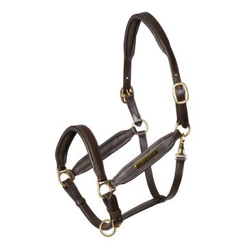 Brown Velociti Gara Leather Headcollar 
