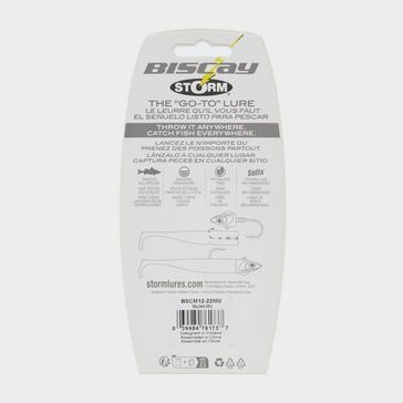 Grey STORM Storm 360 GT Coastal Biscay Minnow 12cm Mullet