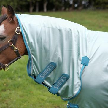 Blue Shires Winnie & Me Fly Combo Rug Light Blue