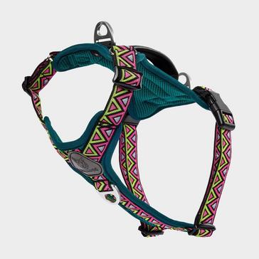 Multi Colour Neerdog Go-B-Bold Lantana Harness