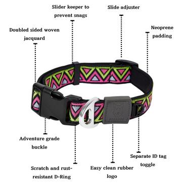 MULTI Neerdog Go-Cee-Y Lantana Collar