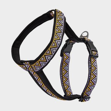 MULTI Neerdog Go-Cee-Y Erysimum Harness