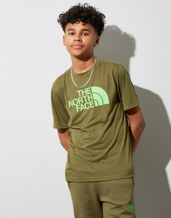 north face facet north face facet