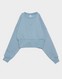 REEBOK BLUZĂ RICHARD CROPPED CREWNECK SWEATSHIRT
