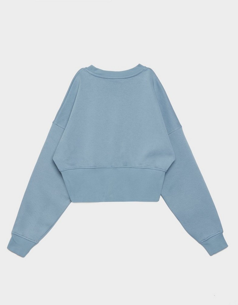 Bluză pentru femei REEBOK BLUZĂ RICHARD CROPPED CREWNECK SWEATSHIRT 100241205 Albastru