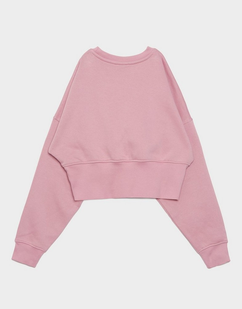 Bluză pentru femei REEBOK BLUZĂ RICHARD CROPPED CREWNECK SWEATSHIRT 100241207 Roz