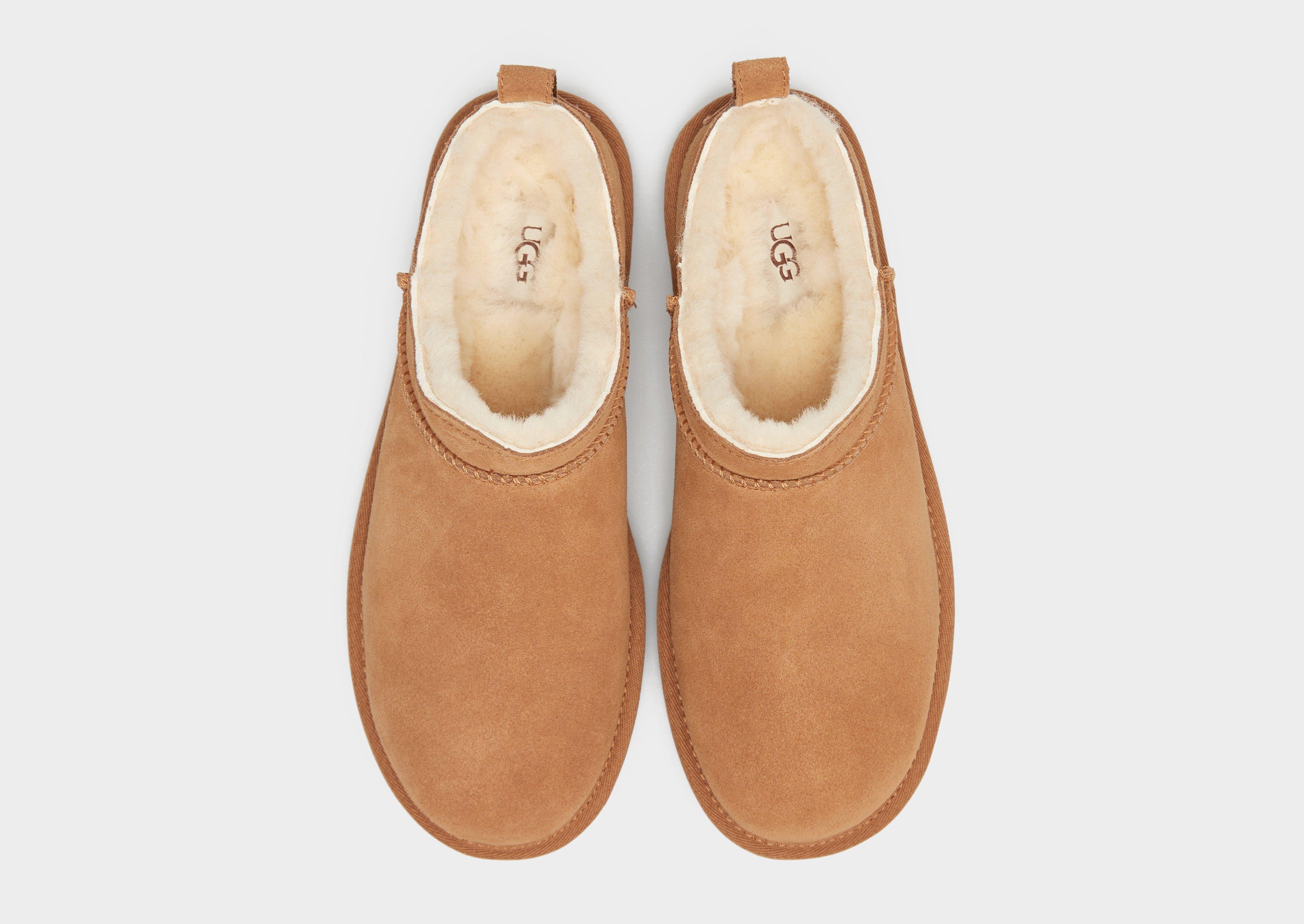 Buty zimowe damskie UGG CLASSIC MICRO 1173891-CHE Brązowy