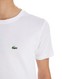 LACOSTE TRICOU S/LOGO T WHT