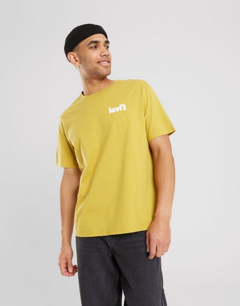 Pánske tričko LEVI'S TRIČKO SS RELAXED FIT TEE 16143-0745 Zelená