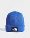 THE NORTH FACE CZAPKA TNF LOGO BOX CUF BNE WINTER CAP