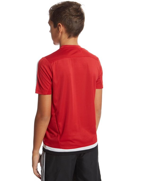 adidas Wales Training Shirt Junior JD Sports