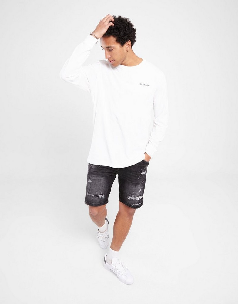 Koszulka, t-shirt męski COLUMBIA T-SHIRT EXPLORERS CANYON™ LONG SLEEVE 2054553-104 Biały