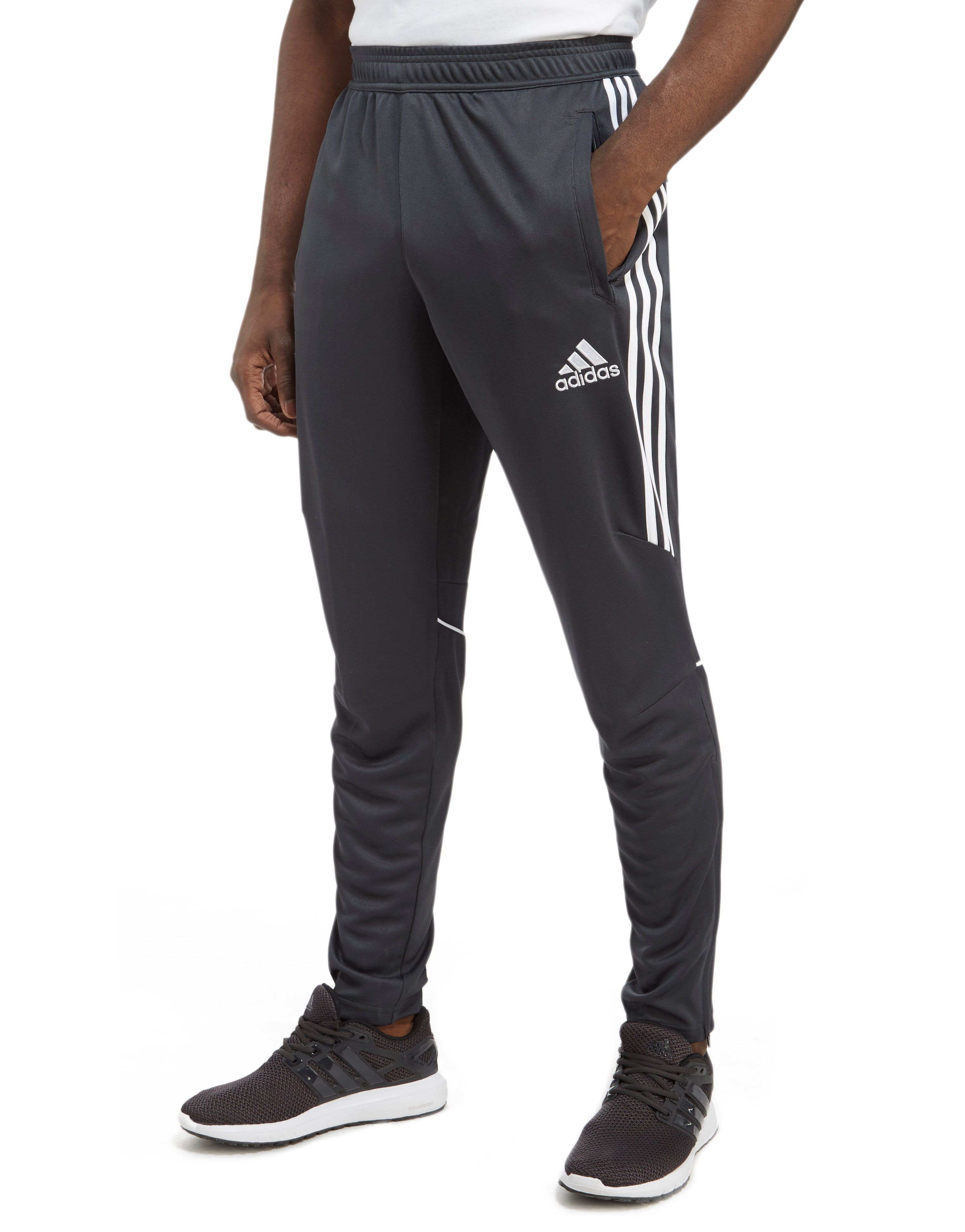 adidas jogging gris