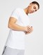 LACOSTE 3 PACK LOUNGE TRICOUS