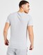 LACOSTE 3 PACK LOUNGE TRICOUS