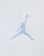 JORDAN TRICOU JDG DISTRESSED COLLIGIATE G