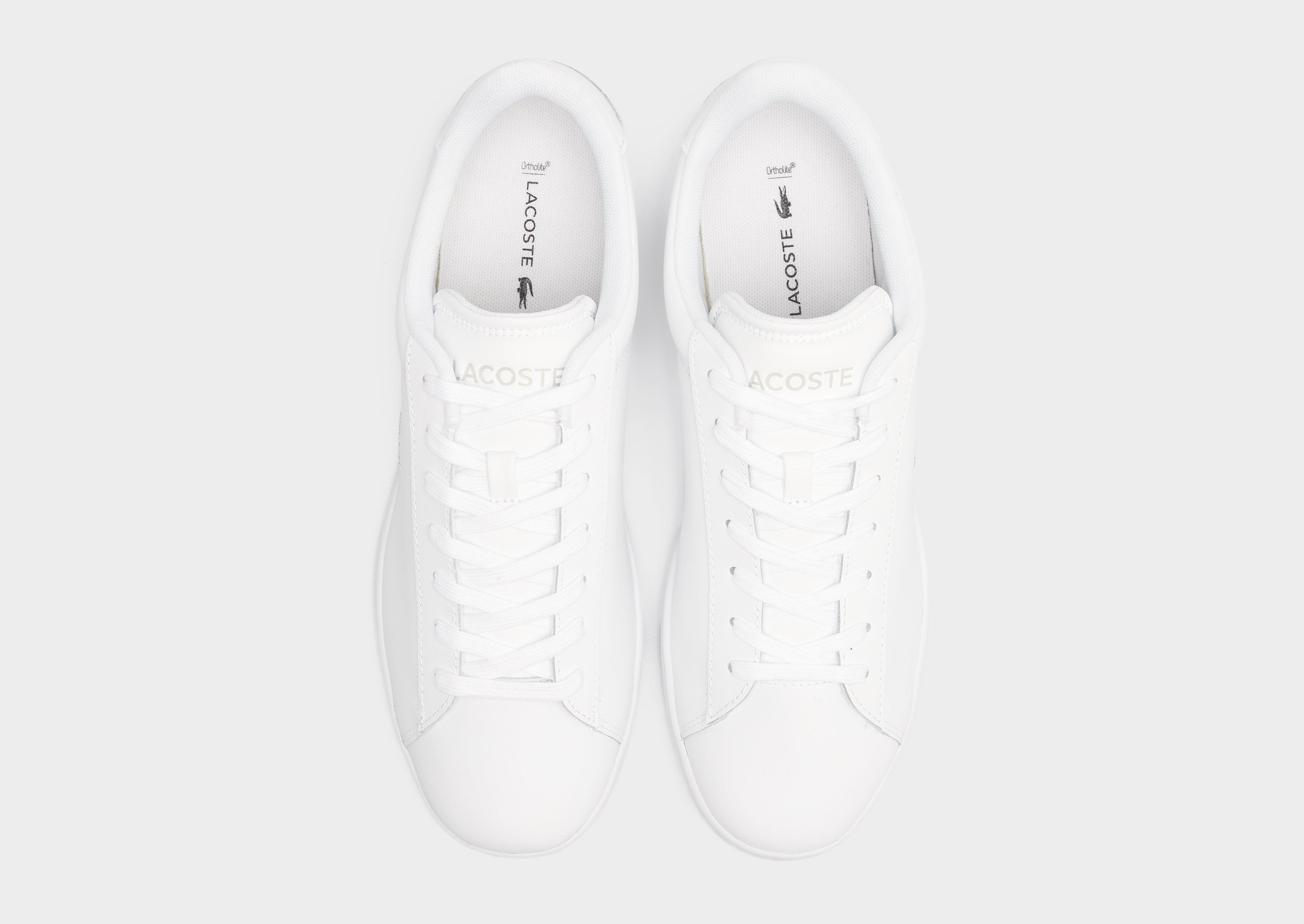 Lacoste Carnaby