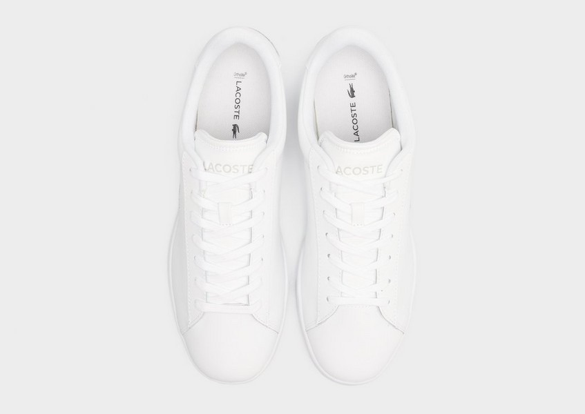 Lacoste Carnaby