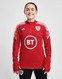 ADIDAS DRES WALES CONDIVO21 TRAINING TOP