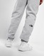 THE NORTH FACE TRENINGOWE LOGO JOGGERS