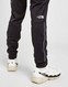THE NORTH FACE TRAIN N LOGO TRACK PANTS 