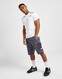 THE NORTH FACE MITTELEGI CARGO SHORTS