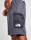 THE NORTH FACE MITTELEGI CARGO SHORTS