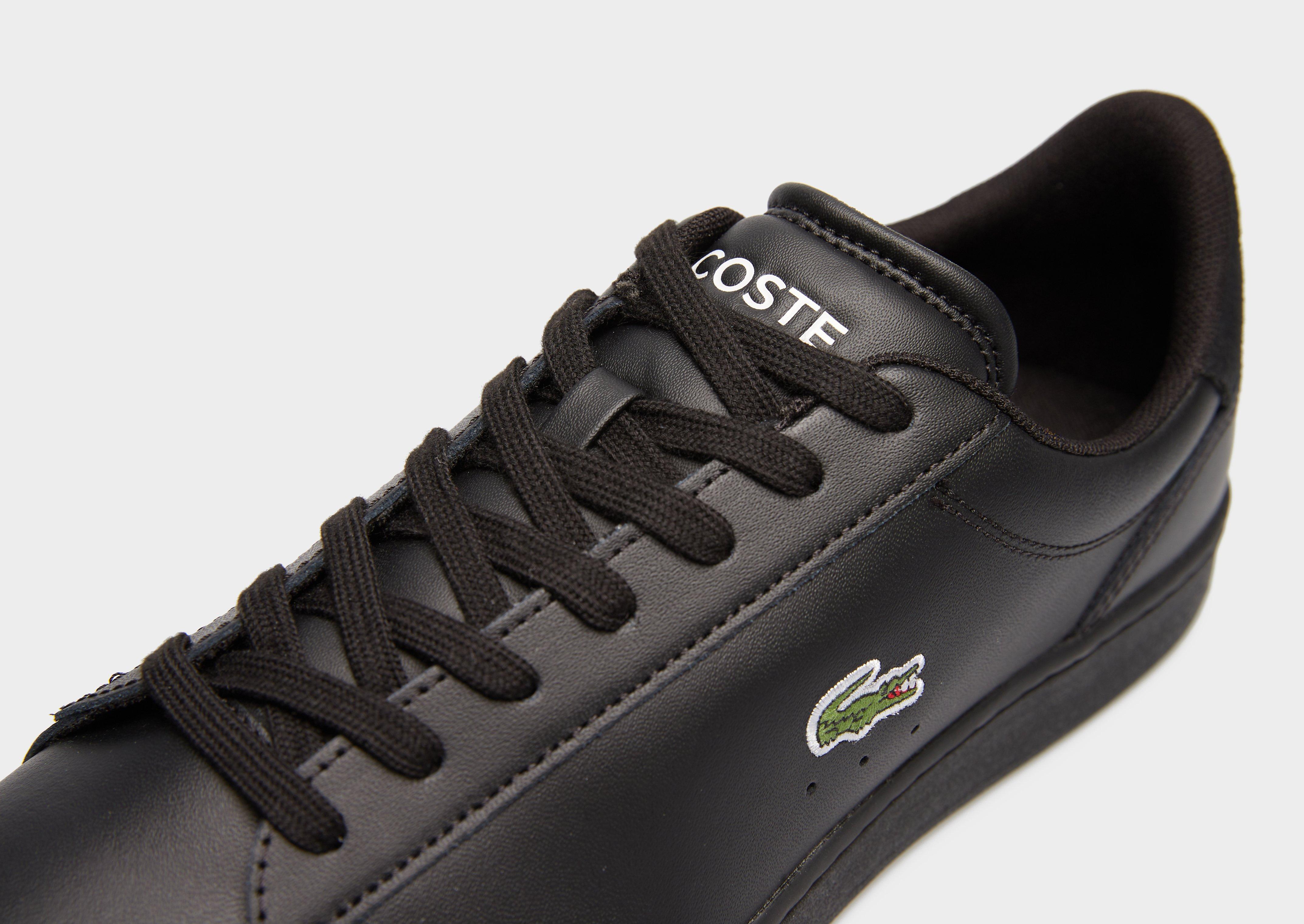 Lacoste Carnaby