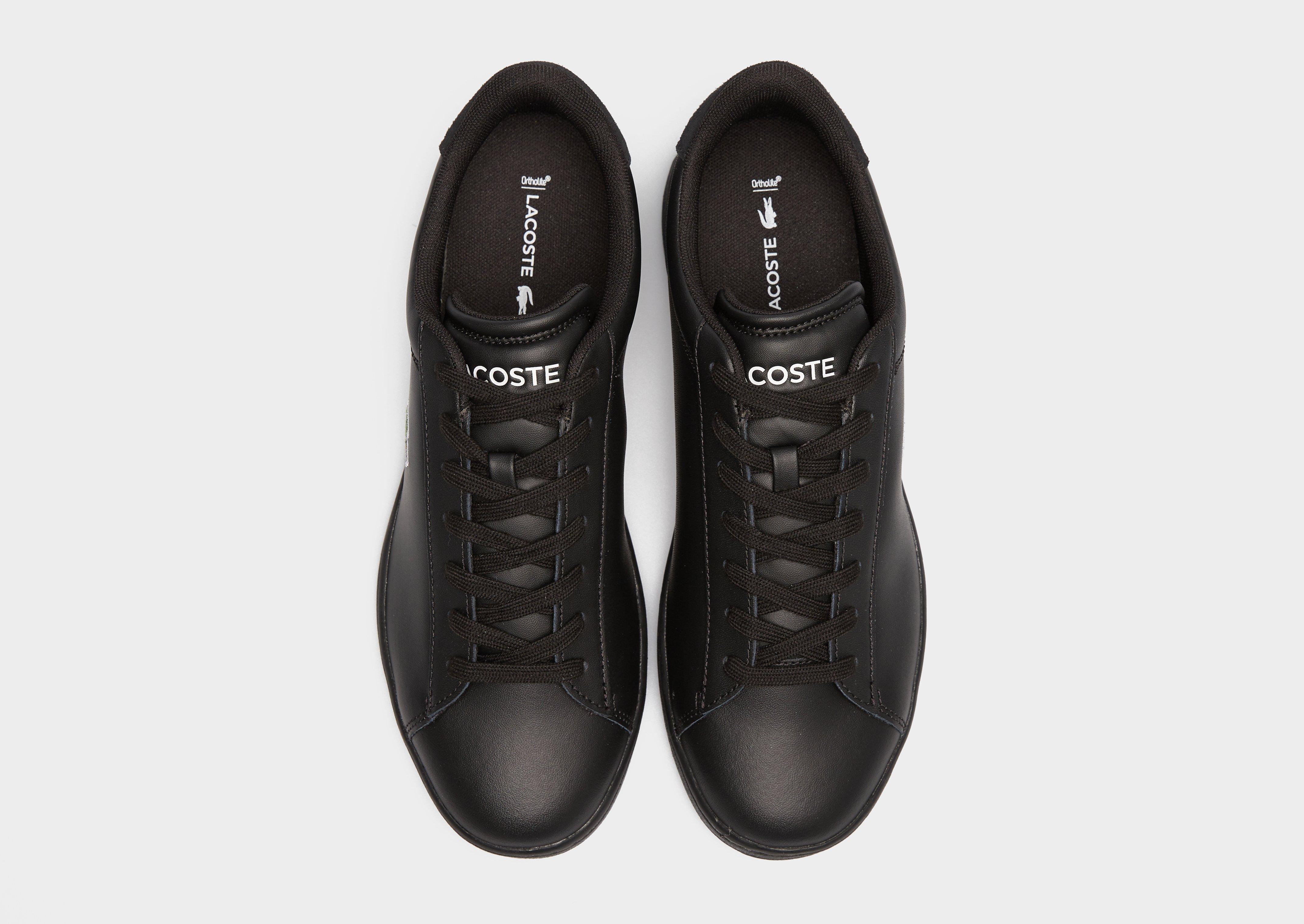 Lacoste Carnaby