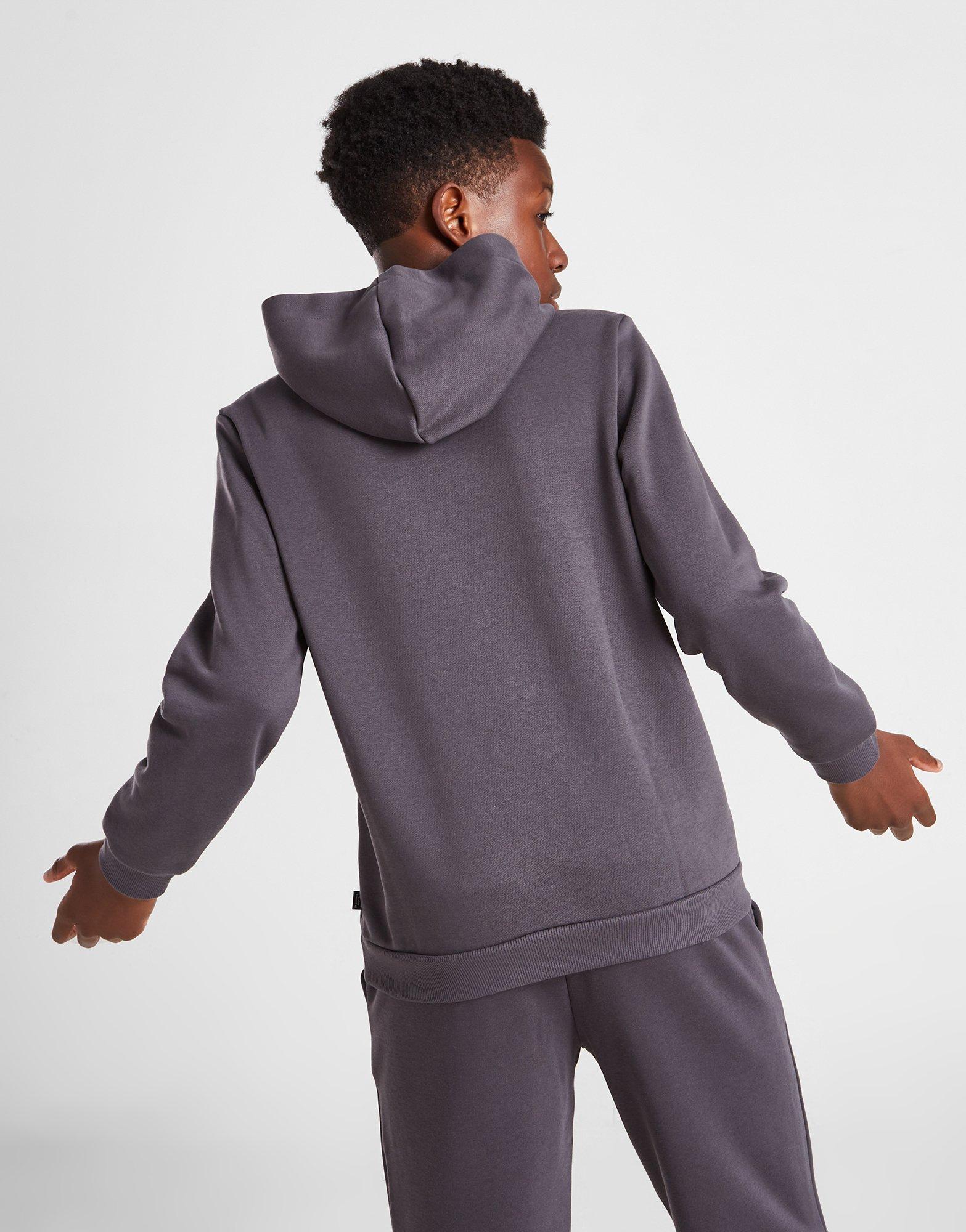 Gyerek pulóver PUMA CORE LOGO FLEECE HOODIE JUNIOR  67275517 Szürke