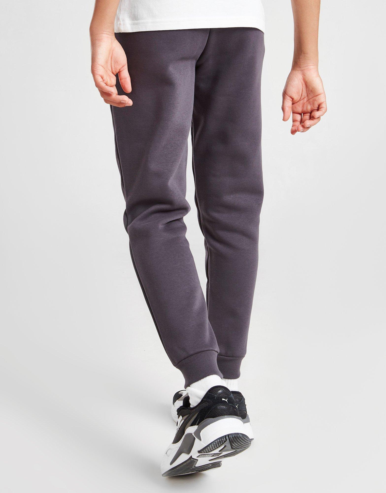 Vaikiškos kelnės PUMA KELNĖS CORE PANT 67275617 Pilka