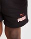 PUMA CORE TRIČKO/SHORTS SET INFANT 