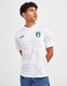 PUMA KRÓTKI RĘKAW ITALY PRE MATCH AWAY SHIRT