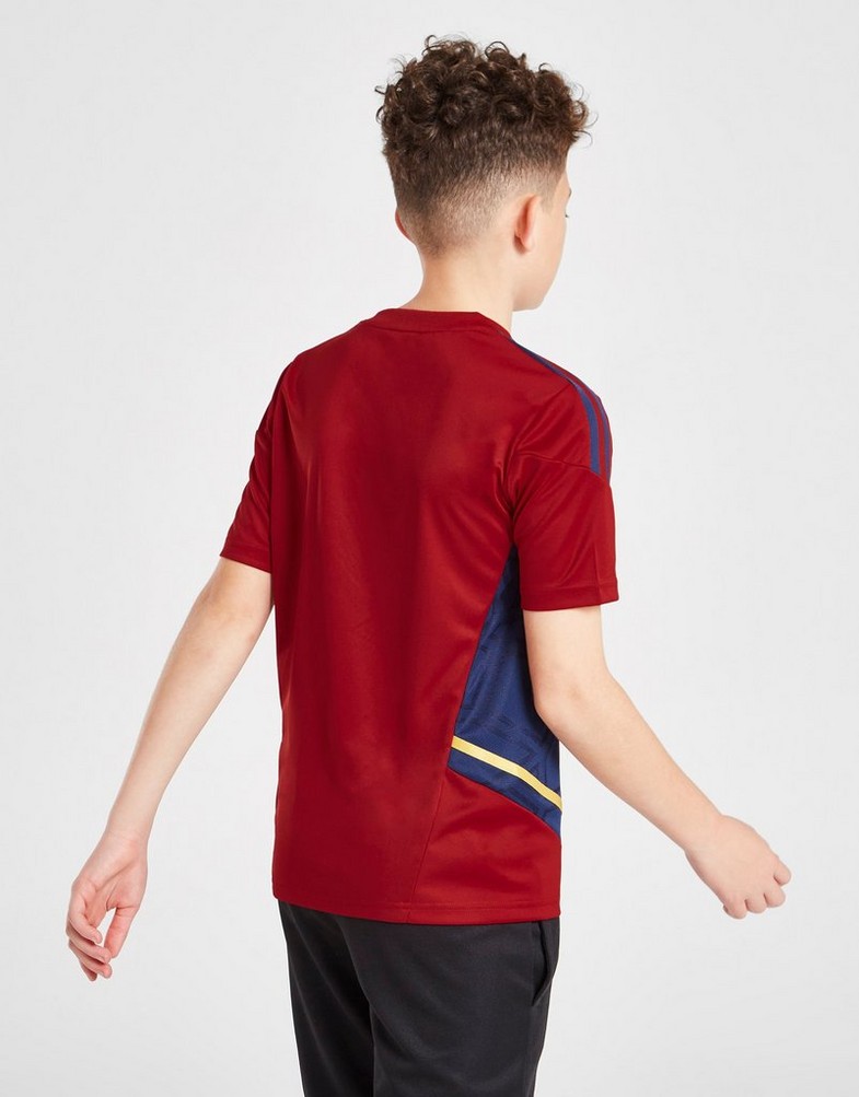 Koszulka, t-shirt dziecięcy ADIDAS KRÓTKI RĘKAW AJAX TRAINING SHIRT JUNIOR H58261 Czerwony