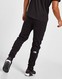 THE NORTH FACE SPODNIE FINE BOX PNT BK/RED