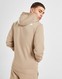 THE NORTH FACE BLUZA Z KAPTUREM FINE BOX HD FLAX