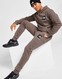 THE NORTH FACE PANTALONI DE   TRENING  FINE BOX JOGGERS 