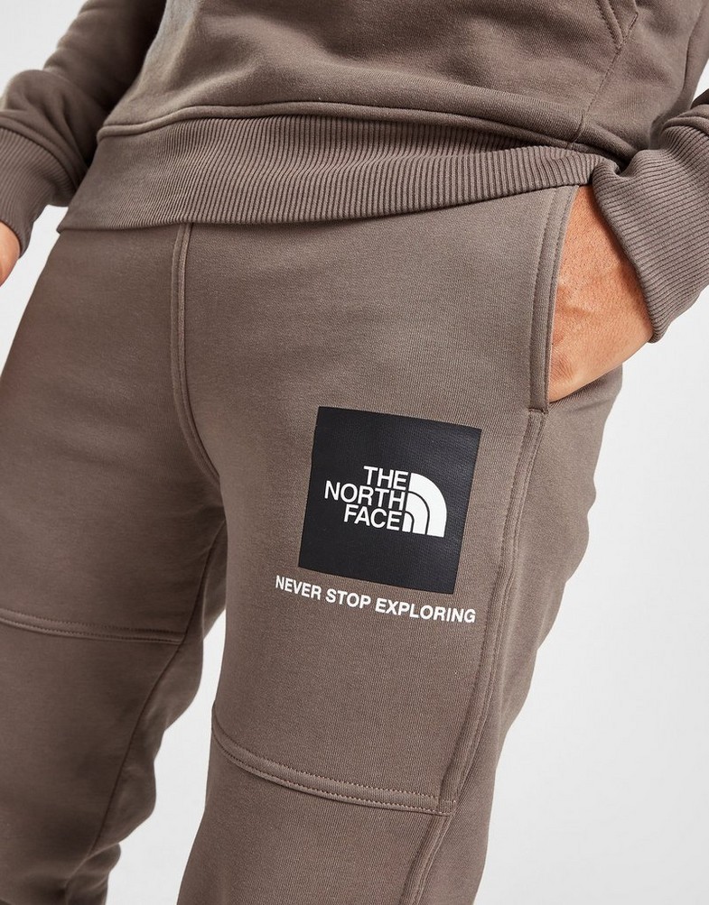 Pantaloni pentru bărbați THE NORTH FACE PANTALONI DE   TRENING  FINE BOX JOGGERS  NF0A5IILNXL1 Maro