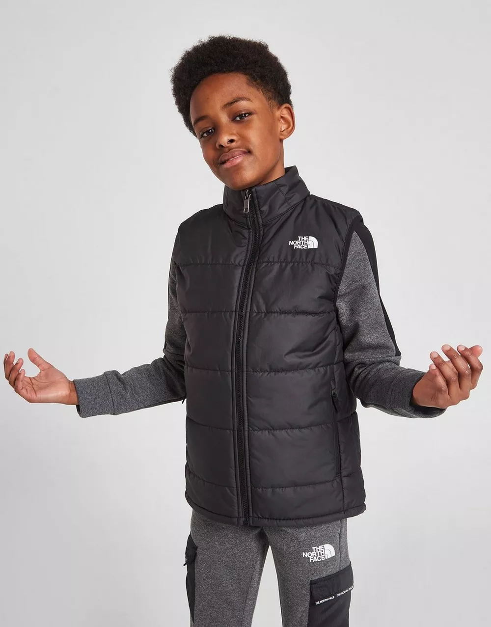THE NORTH FACE БЕЗРУКАВКА NSE GILET, фото 1 з 5