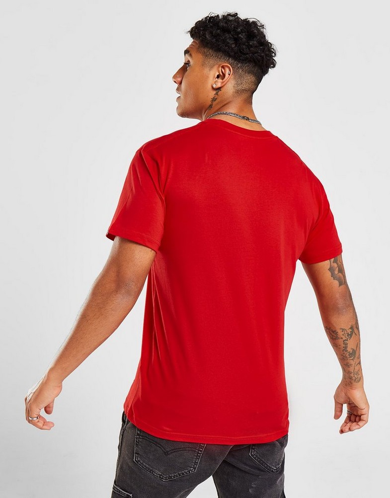 Koszulka, t-shirt męski VANS T-SHIRT CORE TEE VN0A7TLG0PZ1 Czerwony