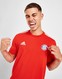 ADIDAS KRÓTKI RĘKAW FC BAYERN MUNICH DNA 3-STRIPES T-SHIRT